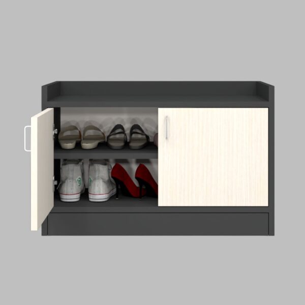Ella 2 Doors Shoe Cabinet in Highland Pine & Slate Grey Finish