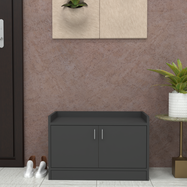 Ella 2 Doors Shoe Cabinet in Slate Grey Finish